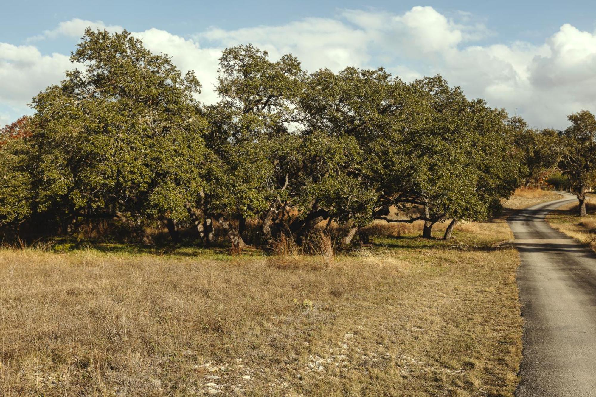 Blair House Inn And Spa Wimberley Exteriör bild